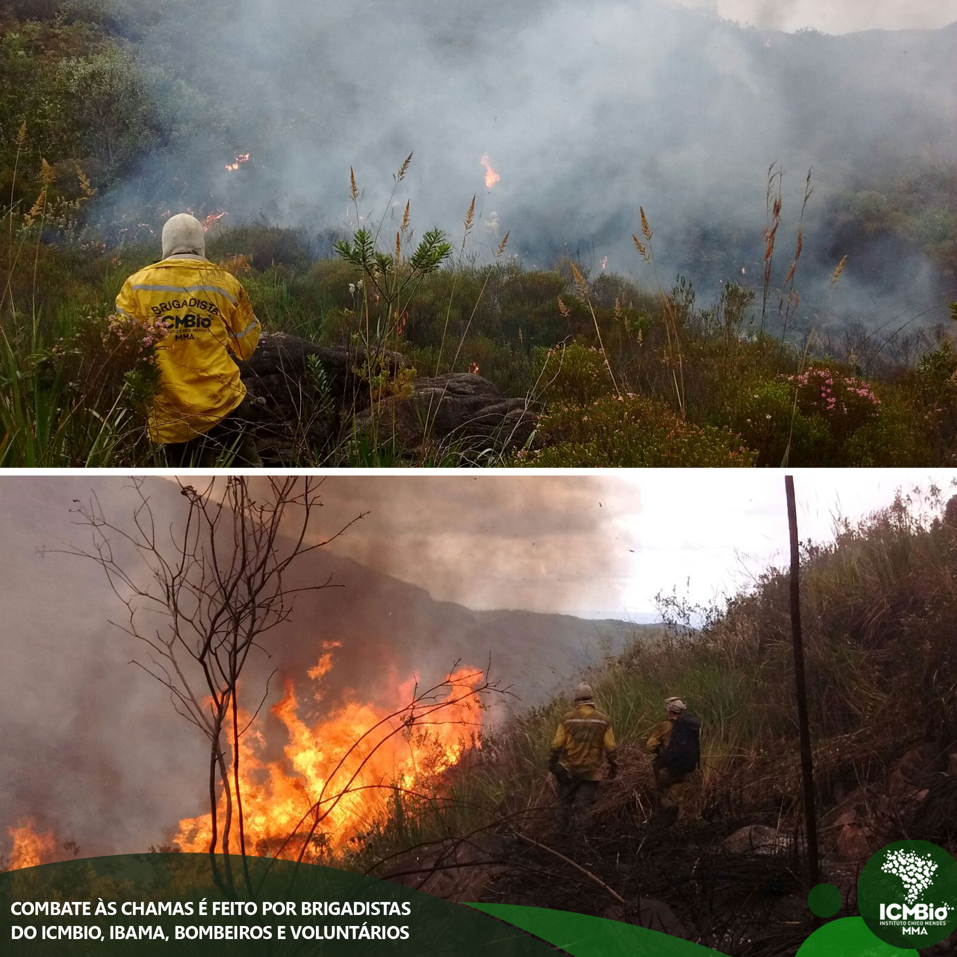  © Todos os direitos reservados. Foto: Acervo ICMBio