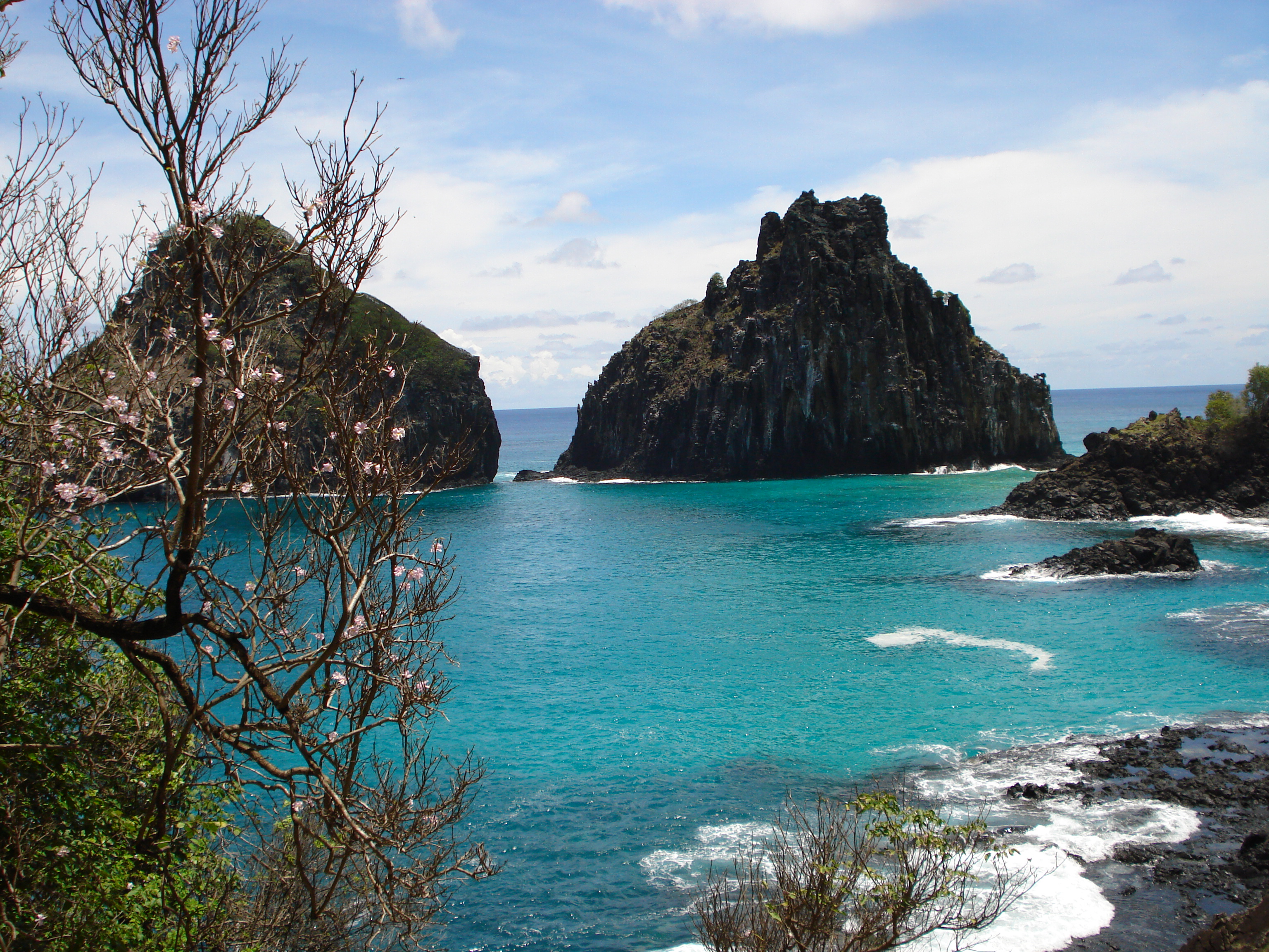 Parna Fernando de Noronha Bicudo