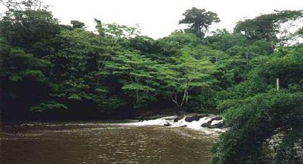 Parque Nacional da Aamzônia foi uma das cinco que tiveram limites redefinidos (Arquivo ICMBio)