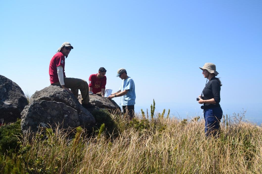 pesquisa serra órgãos