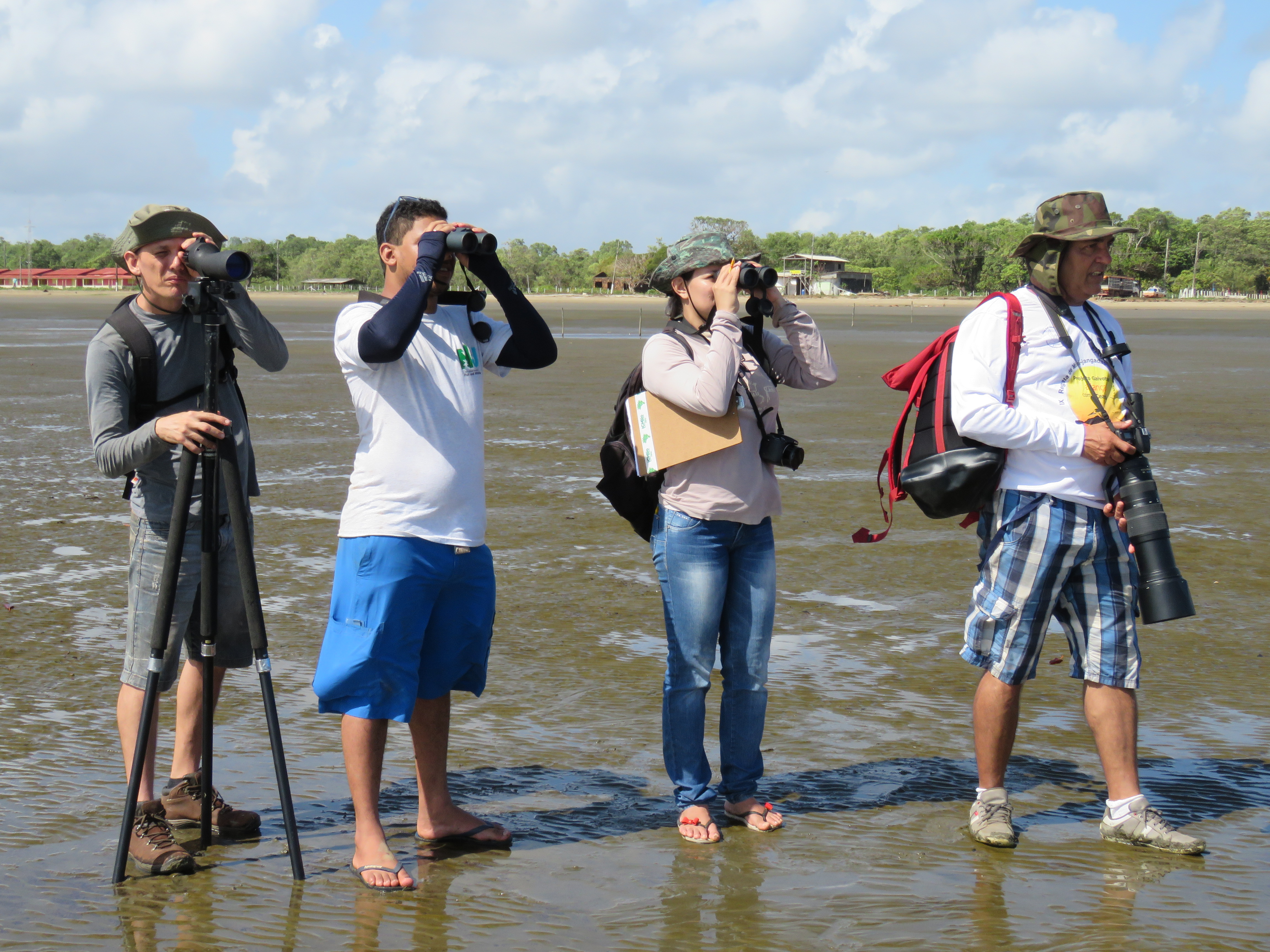 pesquisadores colaboradores PAN Aves Limícolas Migratorias Censo Parque Nacional Cabo Orange Foto DP 1