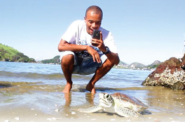 pic4turtle release