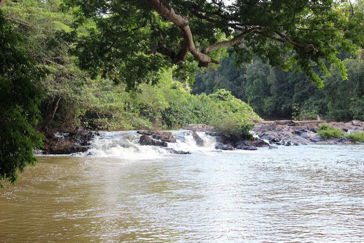 PN Amazonia RamillaRodrigues 2