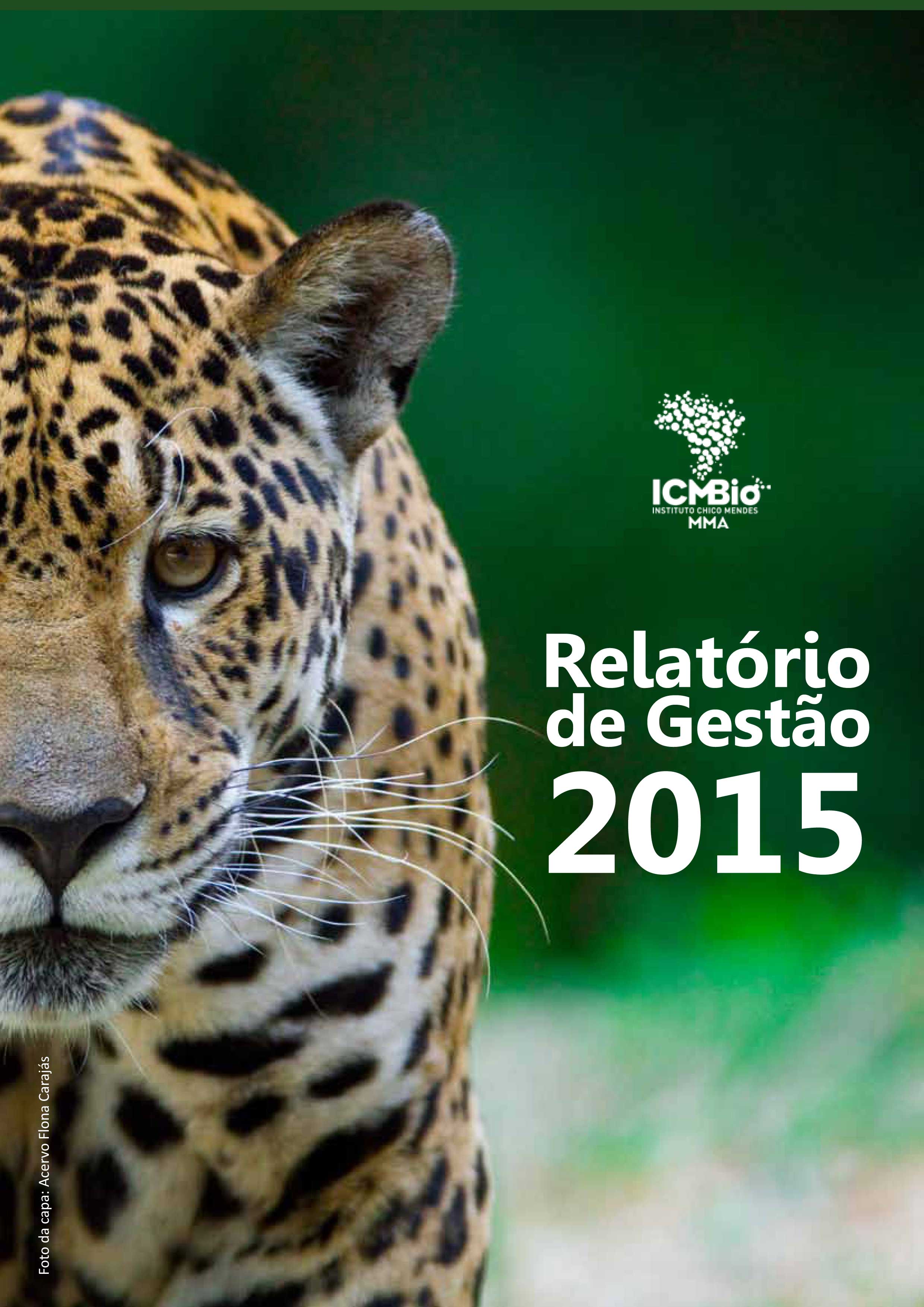 Relatorio de gestao 2015