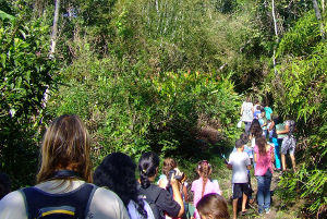 Trilha Saco de Mamanguá  APA Cairuçu Foto Bruno Gueiros