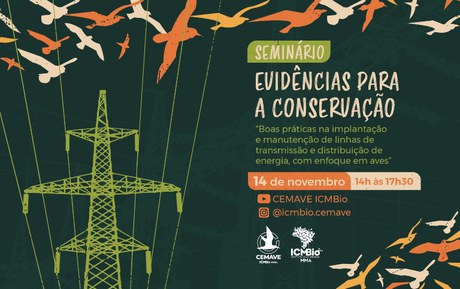 Instituto Chico Mendes realiza seminário sobre proteção de aves em linhas de transmissão de energia