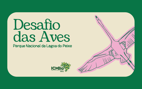 Instituto Chico Mendes lança jogo sobre aves da região do Parque Nacional da Lagoa do Peixe