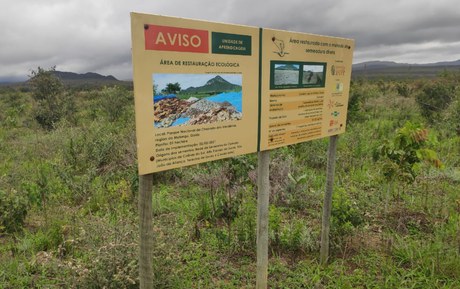 Restauração do Cerrado exige uso de maquinário agrícola e herbicidas