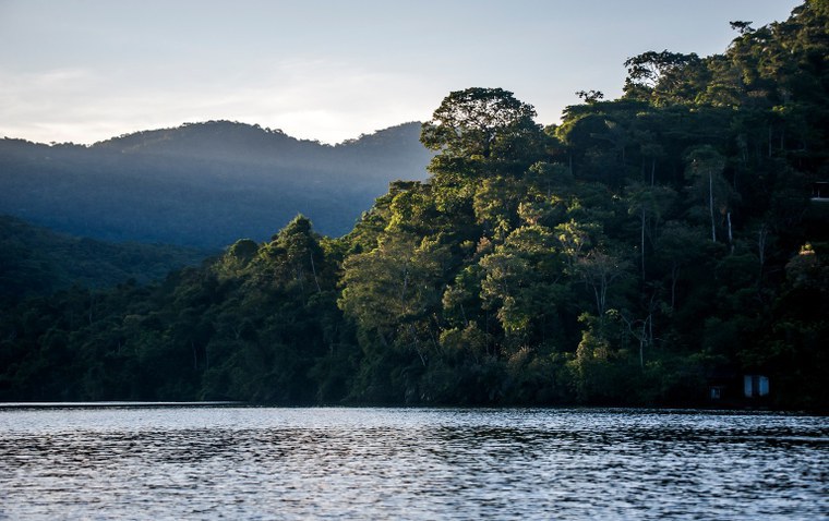 Pesquisa inédita revela percepções sobre conservação das aves e os desafios ambientais na Mata Atlântica