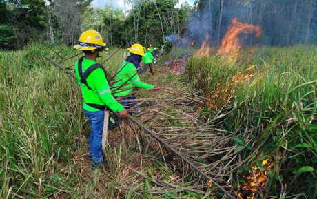 Moradores da Resex Arióca Pruanã recebem formação para prevenção e resposta aos incêndios florestais