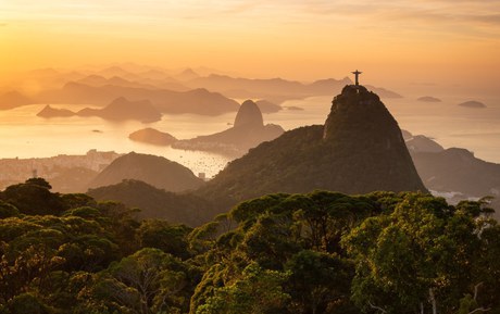 Em nova exposição, fotógrafo lança livro com fotos inéditas do Parque Nacional da Tijuca