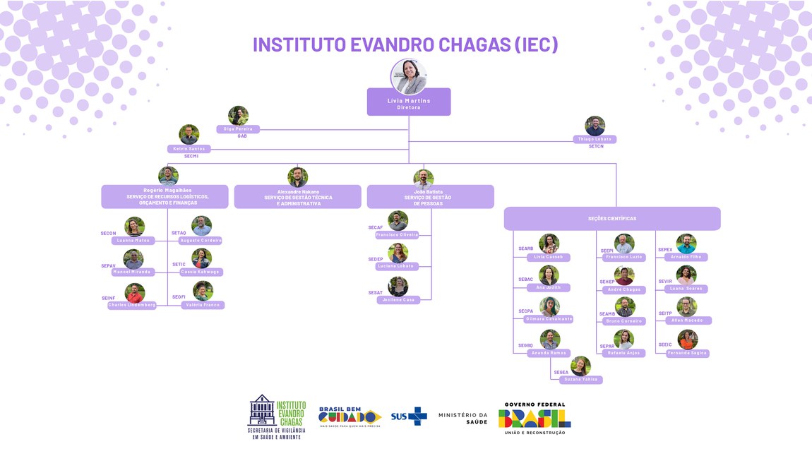 Organograma atualizado no decreto nº 12.036, de 28 de Maio de 2024.