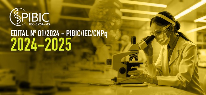 Pibic 2024-2025