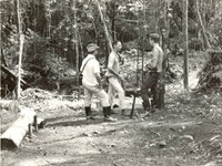 85 anos de estudos de parasitoses na Amazônia Brasileira