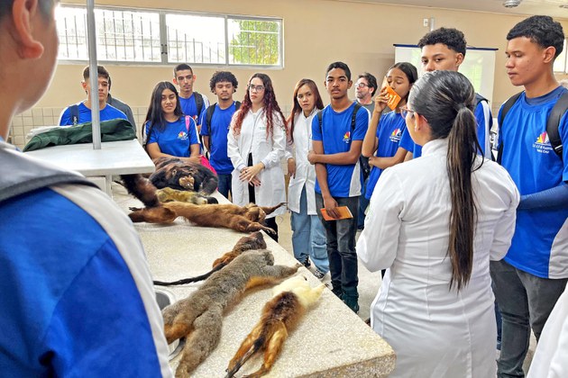 Ação tem como proposta fazer com que os alunos entendam a importância dos primatas tanto na natureza quanto para a ciência