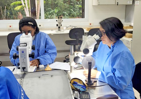 Os participantes também realizaram atividades práticas nos laboratórios da SAARB/IEC