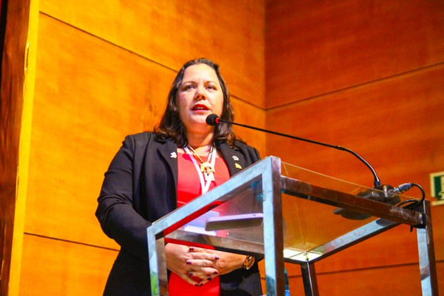 Livia Caricio afirmou ser fundamental o trabalho de forma coordenada para o alcance de melhores soluções 