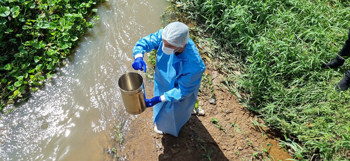 Treinamento virtual abordou teoria e prática de procedimentos de coleta