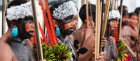 IEC envia equipe técnica para missão humanitária na Terra Indígena Yanomami