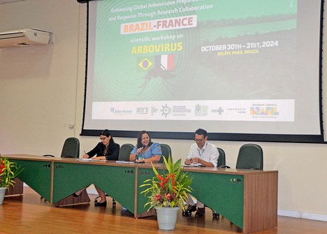 Foto: Nazaré Brandão