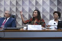 “Em cem dias conseguimos entregar pontos importantes, mas vamos continuar com nossas metas”, diz ministra Anielle Franco no Senado