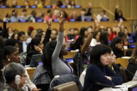 Ministra da Igualdade Racial vai ao Estados Unidos para participar do Fórum de Afrodescendentes da ONU e para agendas de busca por investimentos no Brasil