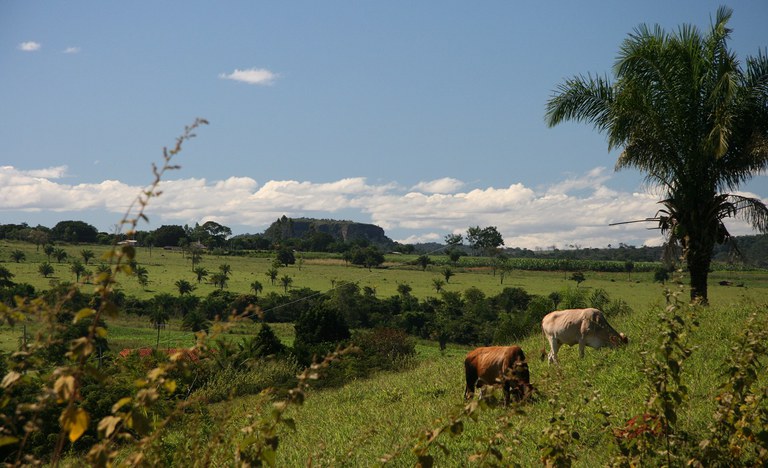 Aberto processo seletivo para 24 vagas no assentamento Esron, na Chapada Diamantina (BA)