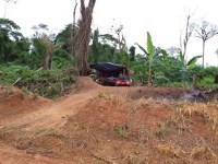 Ação conjunta combate invasão em área de assentamento em Rondônia