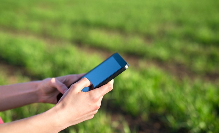 Agricultor segurando celular no campo