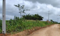 Áreas de assentamentos são liberadas para distribuição de energia em Alagoas