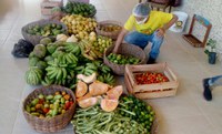 Assentadas baianas aumentam renda com venda de produtos agroecológicos