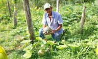 Assentados baianos entregam produção para programa de segurança alimentar