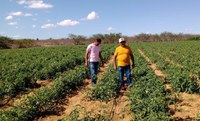 Beneficiários da reforma agrária recebem títulos em João Câmara (RN)