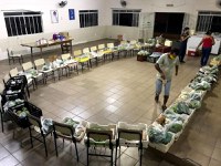 Agricultores de Goiás garantem vendas com uso de aplicativo para celulares