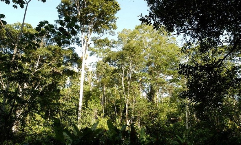 Incra cria assentamento no Litoral Sul da Bahia