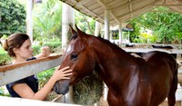 Equinocultura gera renda extra para família assentada no Espírito Santo