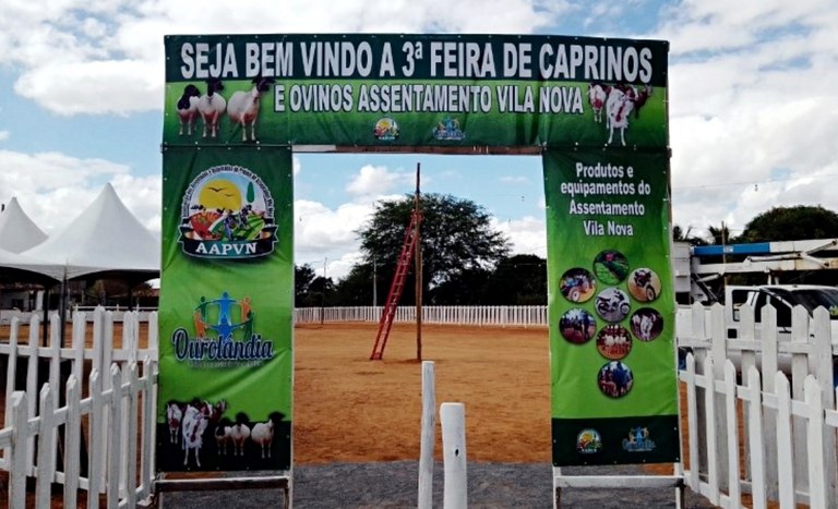 Feira Ourolândia Caprinos Ovinos