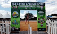 Feira de Caprinos e Ovinos do Assentamento Vila Nova (BA) chega à terceira edição