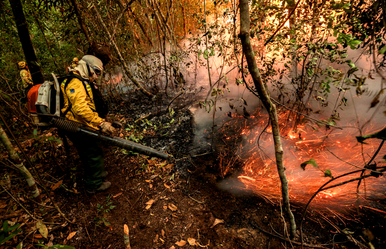 MMA_Combate incêndios na Terra Indígena do Xingu_Foto João Stangherlin_Ibama_Set2024.png