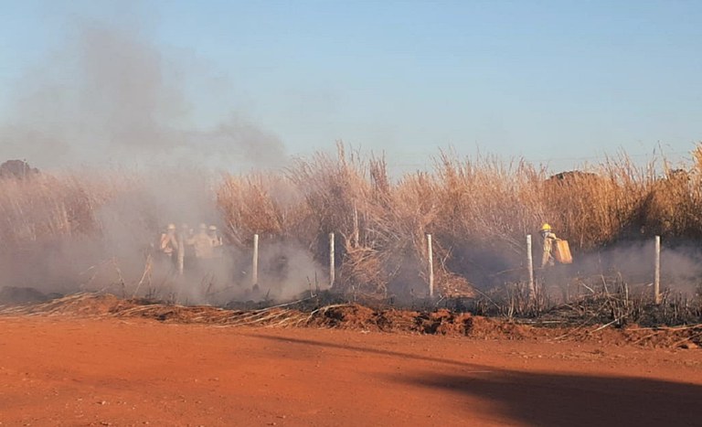 Ibama contrata brigadistas de assentamentos do Incra no norte de Goiás para combater incêndios