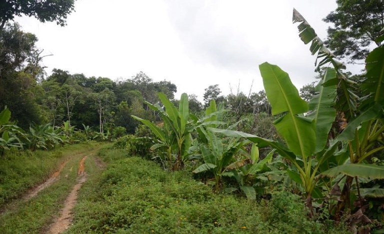 Incra/BA abre certame para selecionar 233 famílias a serem assentadas pelo Programa Nacional de Reforma Agrária