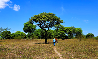 Incra/CE vistoria imóveis sobrepostos ao território quilombola Alto Alegre, Adjacências e Base