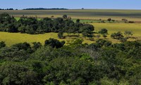 Incra inicia a individualização do Cadastro Ambiental Rural em assentamentos