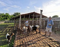 Incra piauiense libera R$ 3,4 milhões em crédito para assentamentos em 2020