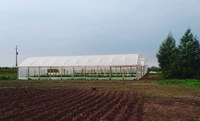 Jovem dinamiza agricultura no lote dos pais no Rio Grande do Sul