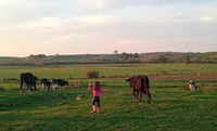 Linha de crédito reforça projetos de agricultoras familiares gaúchas