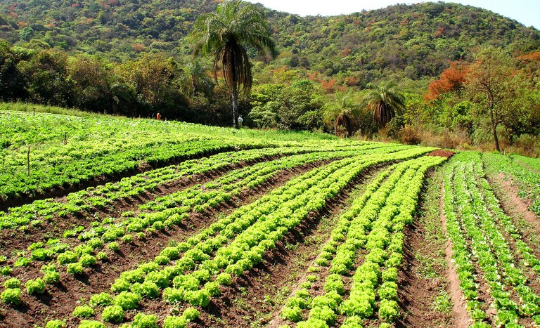 Nova parceria entre Incra e Ufla prioriza a individualização do CAR nos assentamentos da reforma agrária