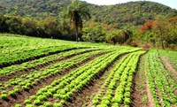 Nova parceria entre Incra e Ufla prioriza a individualização do CAR nos assentamentos