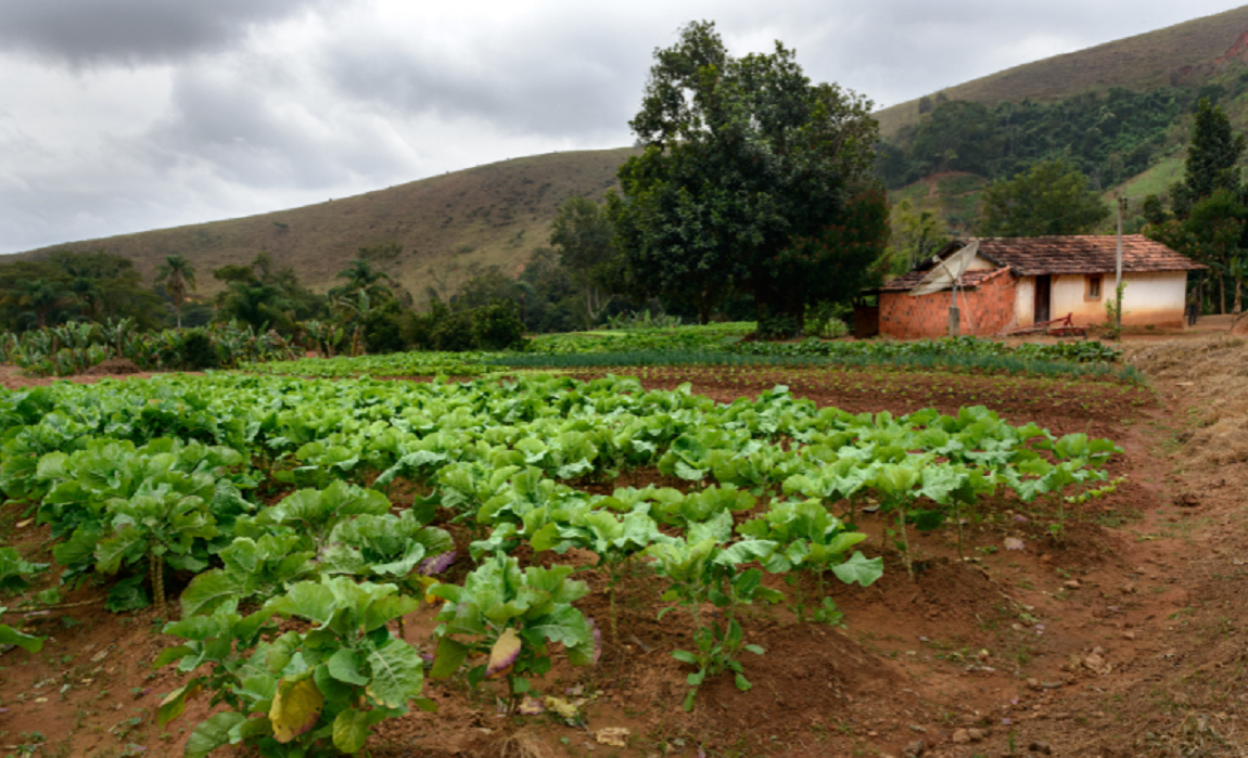 Portaria interministerial regulamenta cessão de imóveis rurais para reforma agrária