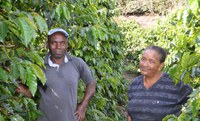 Produção de café propicia formação acadêmica a assentadas capixabas